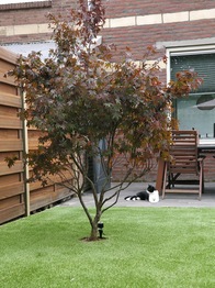 Kunstgras in achtertuin Maastricht