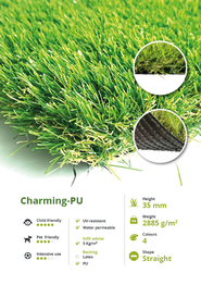 Onderhoudsarme tuin in Meerssen